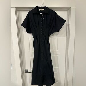 The Tobie Button-Front Pleated Shirt Dress by Exquise